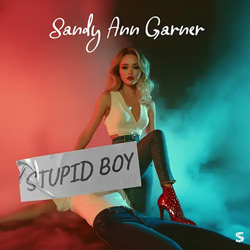 Cover von Stupid Boy - Single von Sandy Ann Garner